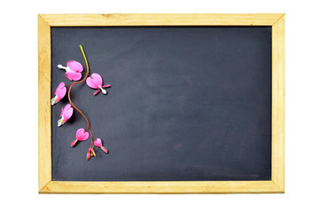  Valentines Day background with blackboard and bleeding heart flowers. Creative love background concept.