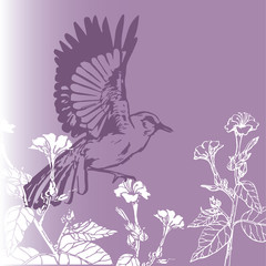 background vintage bird with flowers