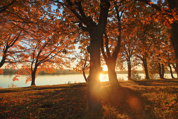 Fototapeta premium Beautiful autumn sunset over lake in Russia