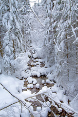 Fluß - eis - gefroren - Winter - Schnee - Allgäu - Wildnis