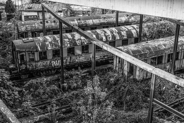 Fototapeta premium Belgrade, Serbia October 16, 2014: Abandoned trains in Belgrade