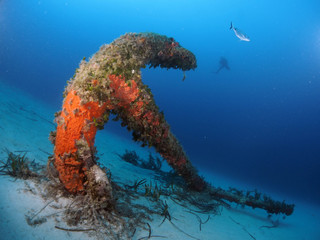 Scuba Diving Malta Gozo Comino - Tug Boat Rozi