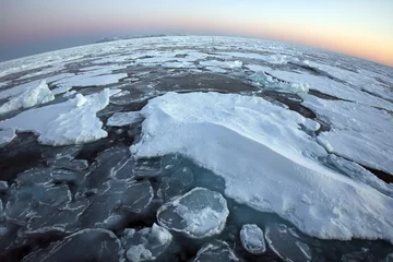 Foto op Canvas Op de top van de wereld - The Arctic © mrallen