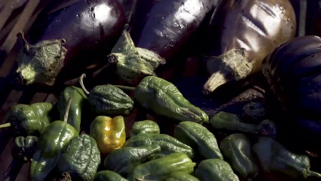 Eggplants and padron peppers on the grill roasting.