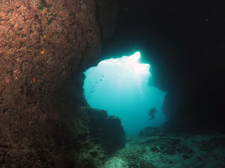 Scuba Diving Malta Gozo Comino - Alex Cave - Comino