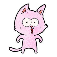 funny cartoon cat