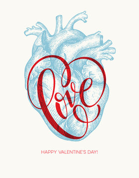 Valentines day card with Human heart and Love lettering. Vector illustration