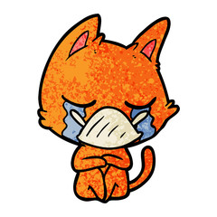 crying cartoon cat sitting