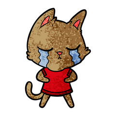 crying cartoon cat
