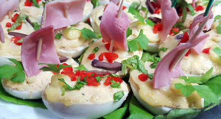Stuffed eggs in a plate