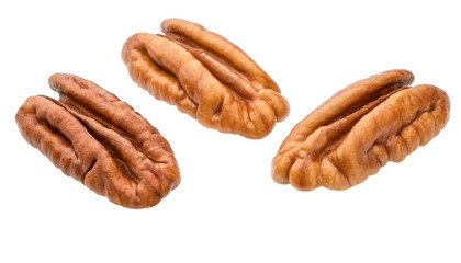 pecan nuts isolated on white background