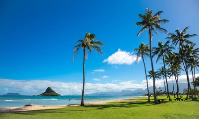 Fototapeten Hawaii-Strand © Gang