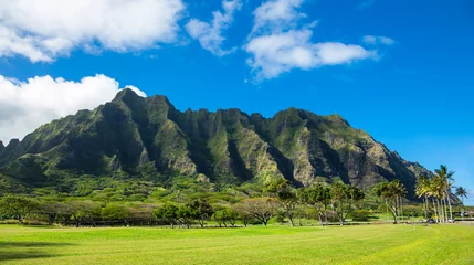 Fototapeten Koolau-Gebirge auf Hawaii © Gang