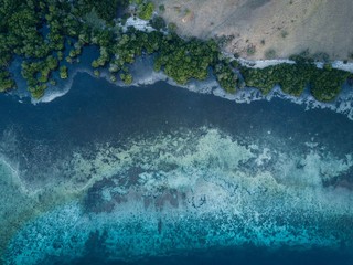 Komodo Island Shoreline 2