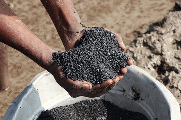 Man Holding the fertilizer in his hand