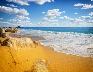 Idyllic tropical sand beach