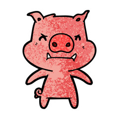 angry cartoon pig
