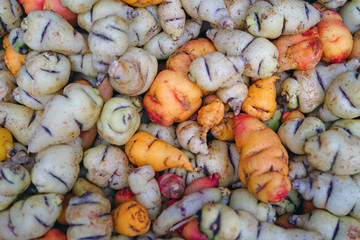 Colorful orange and yellow roots of Mashua (Tropaeolum tuberosum), an Andean vegetable, at a French farmers market 