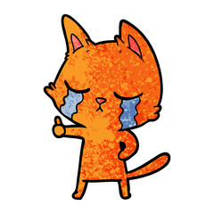 crying cartoon cat