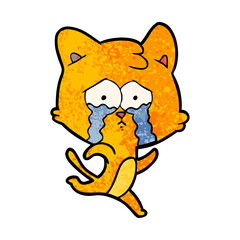cartoon crying cat