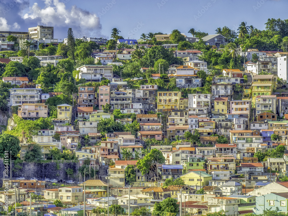 Wall mural house covered hillside in fort-de-france, capital city of martinique, an overseas department of fran