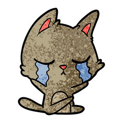 crying cartoon cat