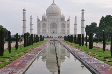 Taj Mahal - 186615726