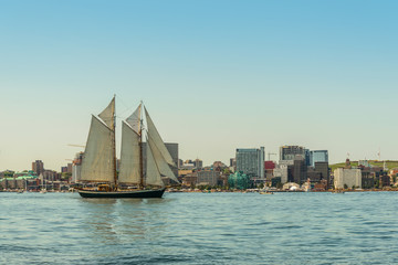 Tall ship in the harbour with Halifax downtown skyline on a sunny day - obrazy, fototapety, plakaty