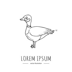 Hand drawn doodle Canadian goose icon Vector illustration isolated symbol on white background Cartoon element bird. Duck. Long neck, short legs and webbed feet. Curlew. Plover. Water fowl.