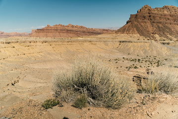 Fototapeta na wymiar Wüste und Canyon on Colorado