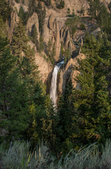 Yellowstone Falls Tumbles Over Canyon Wall