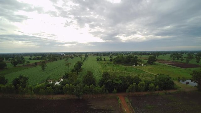 aerial view of farm in thailand
