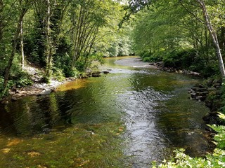 Obraz premium Peacefull River in Ketchikan Alaska