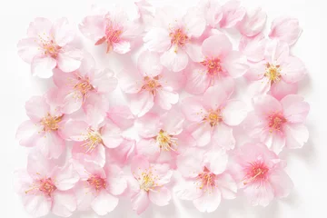 Zelfklevend Fotobehang 桜の花　 © tamayura39