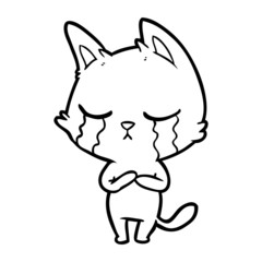 crying cartoon cat