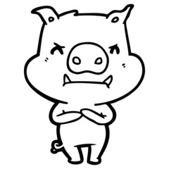 angry cartoon pig