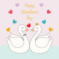 swan in love,happy valentine's day