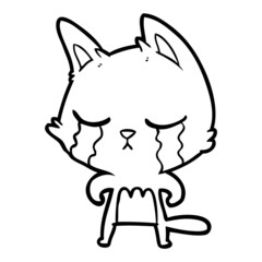 crying cartoon cat