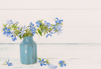 Periwinkle in vase on white background