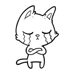crying cartoon cat with folded arms