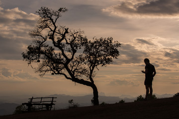 Fototapeta na wymiar silhouette man standing under the tree in sunset time.