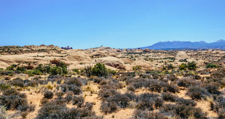 Fototapeta na wymiar Desert Moab, Utah, USA. Lifeless stone desert
