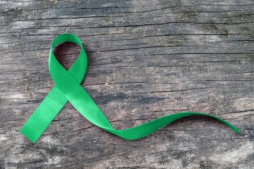 Green ribbon awareness symbolic bow for Kidney, Gallbladder, Bile Duct Cancer, Glaucoma, Leukemia,...