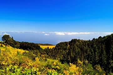 Landschaft Madeira