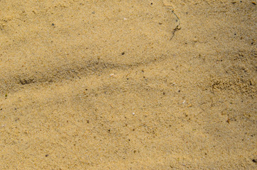 Background of the yellow sand