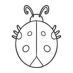 cartoon ladybug