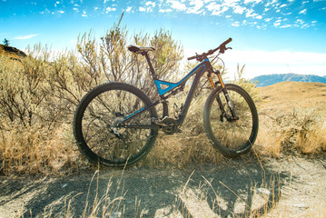 Fototapeta na wymiar Mountain Bike