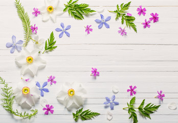 spring flowers on white wooden background