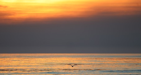 Sunset Cayucos