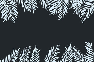 Palm tree leaves isolated on dark background with space for text.